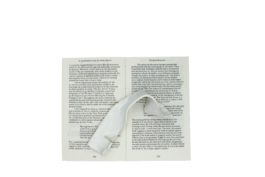 thE physicaL spherE oF conversatioN takinG placE