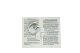 thE physicaL spherE oF conversatioN takinG placE