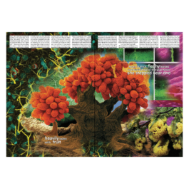 thE physicaL spherE oF conversatioN takinG placE