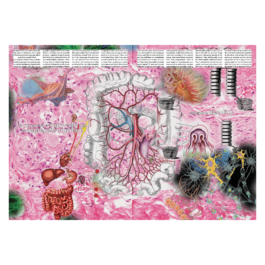 thE physicaL spherE oF conversatioN takinG placE