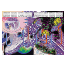 thE physicaL spherE oF conversatioN takinG placE