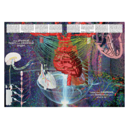 thE physicaL spherE oF conversatioN takinG placE
