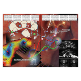 thE physicaL spherE oF conversatioN takinG placE