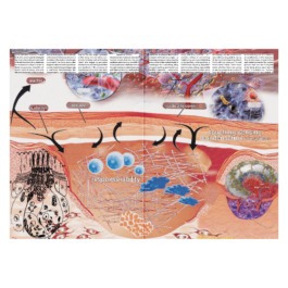 thE physicaL spherE oF conversatioN takinG placE