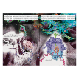 thE physicaL spherE oF conversatioN takinG placE