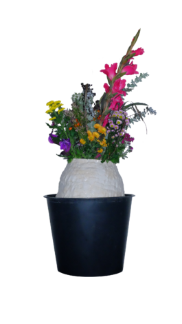 thE physicaL spherE oF conversatioN takinG placE